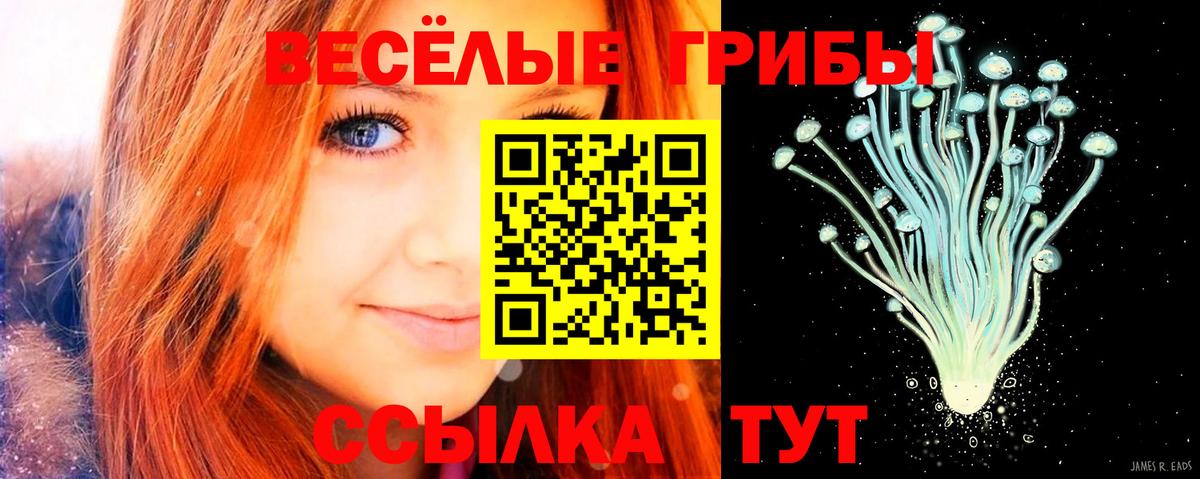 Нижнекамск  Псилоцибиновые грибы MAGIC MUSHROOMS  Вход с VPN  Галлюциногенные грибы MAGIC MUSHROOMS 